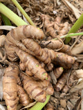 Organic Turmeric Veggie Caps
